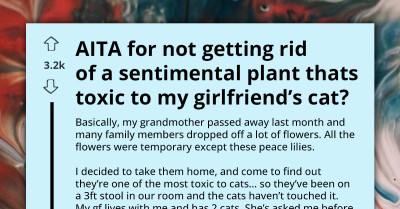 Man Chooses to Keep Lilies from Grandma's Funeral Despite Girlfriend's Concerns for Her Cats' Safety