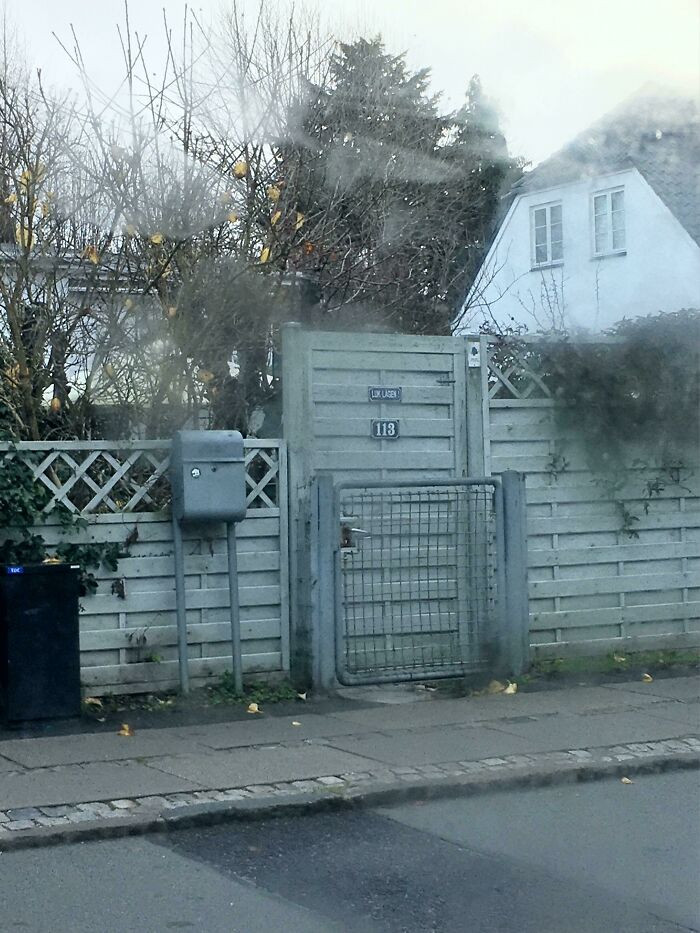 34. What is the reason?