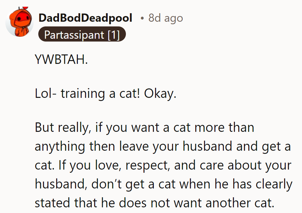 Facing feline ultimatums, it's time to sharpen priorities in the litter box of life...