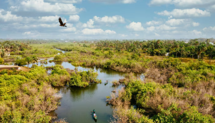 Inside the Everglades