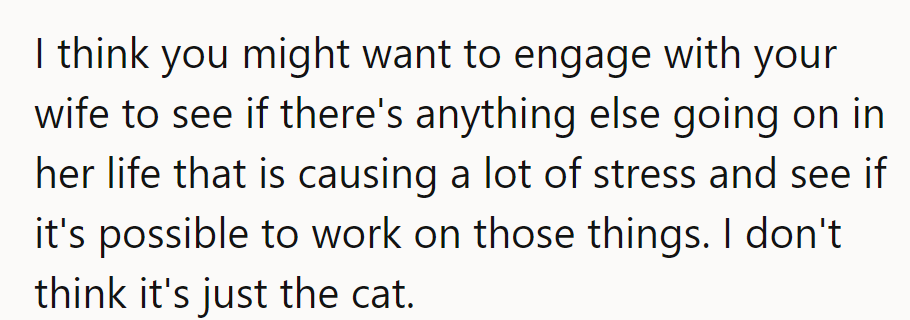He should engage with his wife to uncover other stressors. The cat might just be the symptom.