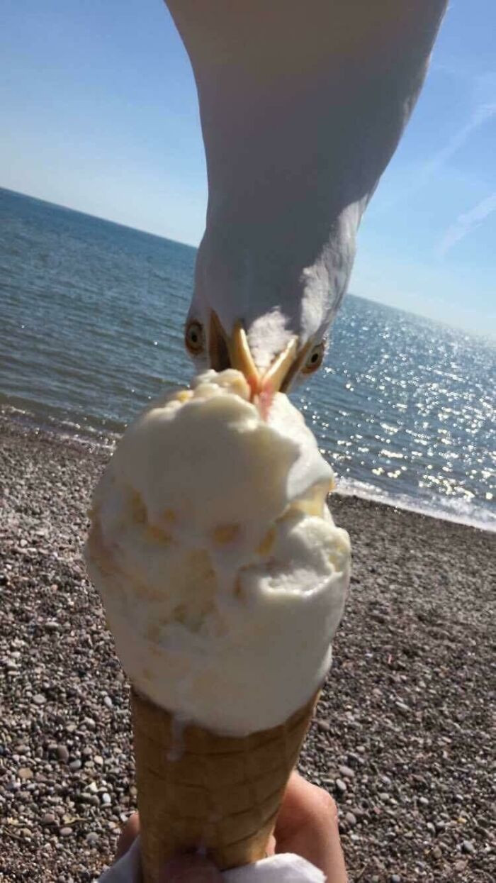 "Just A Pic That My Friend Took Down At The Beach The Other Day"