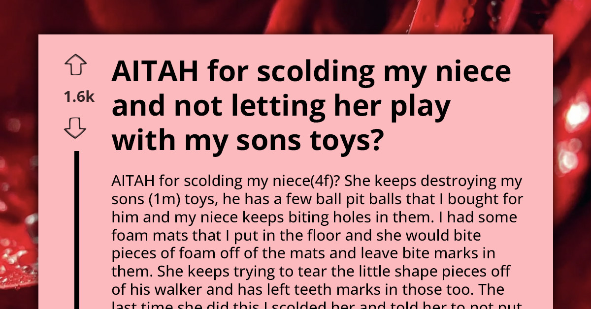 Little Niece Keeps Destroying My Son's Toys - AITA For Scolding Her?
