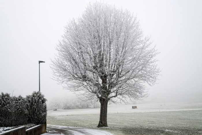 Emergency alert signage warning about freezing fog hazards during winter conditions