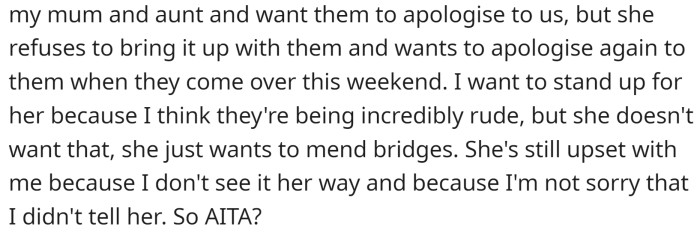 OP thinks his wife did nothing wrong and now wants an apology from his mother and aunt.