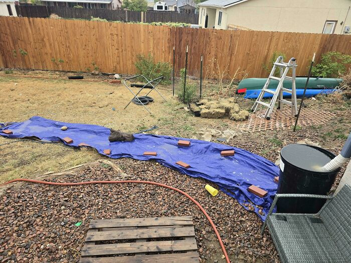"Every Gallon Of Rainwater Counts In Colorado"