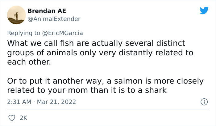 16. Salmon and sharks