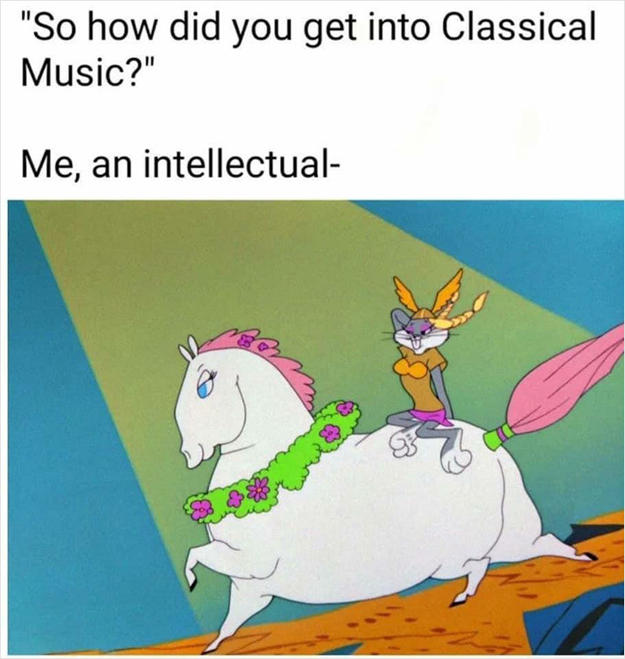 8. A Looney introduction to the symphony.