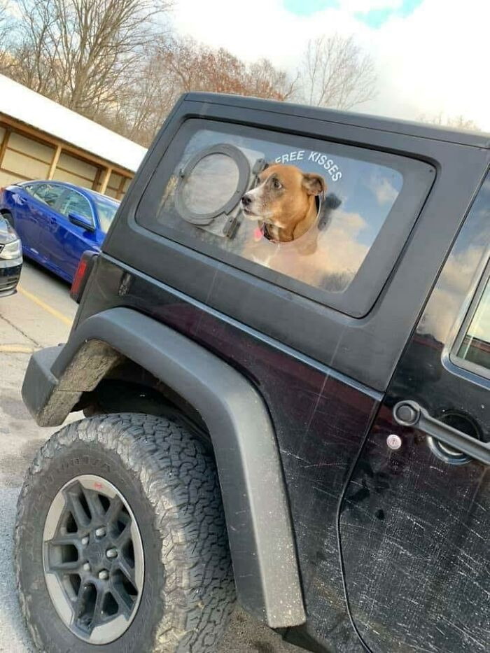 "Goodest Window"
