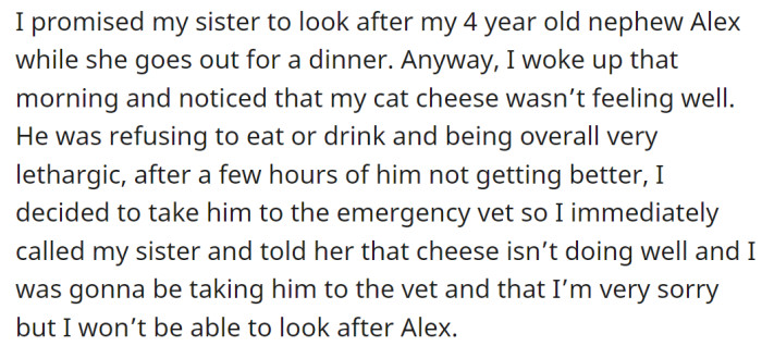 The OP explained she canceled the babysitting arrangement for her nephew as her cat got sick: