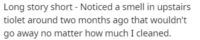 OP noticed a smell in their upstairs toilet recently and no matter how much they tried, the smell wouldn't got away