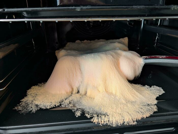 "I Forgot Some Rice In A Pan For 5 Days"