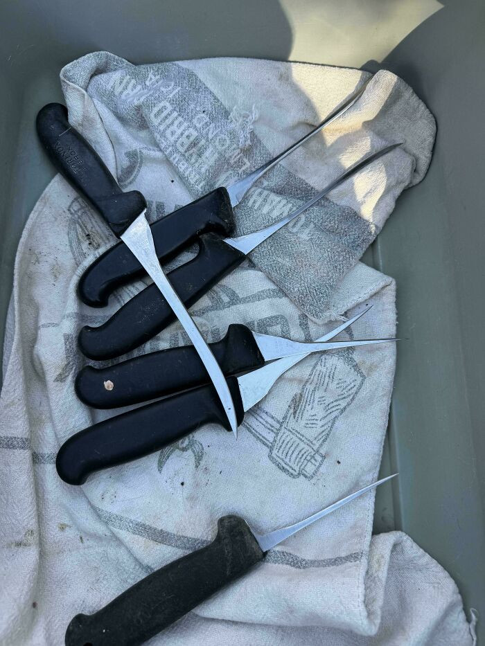 "Dropped A Deer Off At The Local Butchery, And They Had A Bucket Of These"