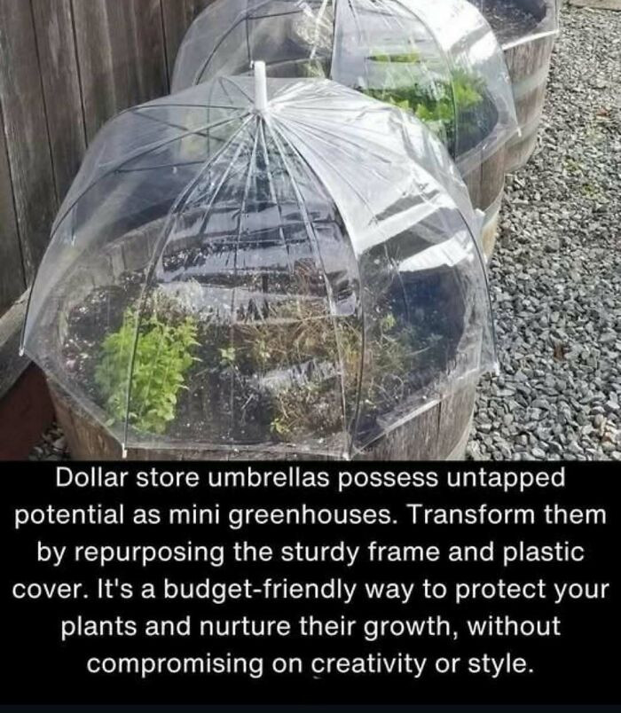 "This Is Such A Clever Garden Hack"
