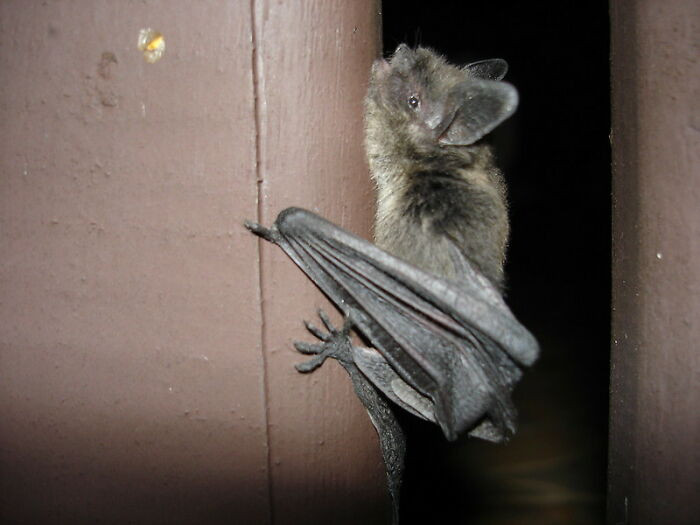 17. Actor Who Was In A Famous Vampire Movie