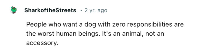 “People Who Want a Dog with Zero Responsibilities Are the Worst Human Beings.”