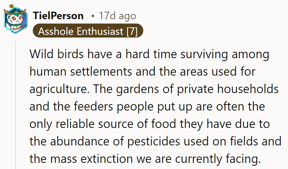 Helping birds thrive in a tough world—maybe we could all use a little more bird-brained compassion!