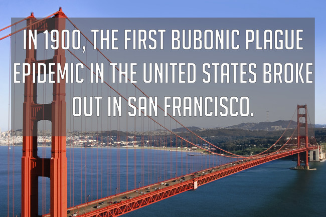 1. Did anyone tell you this before now?