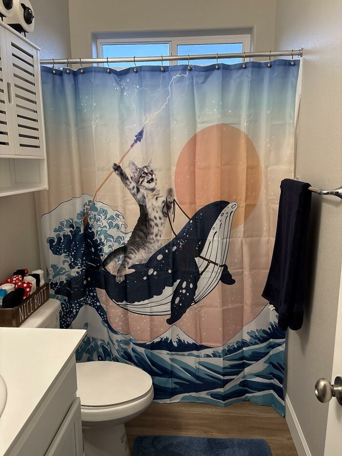 "The Shower Curtain Is So Cool So Fun"
