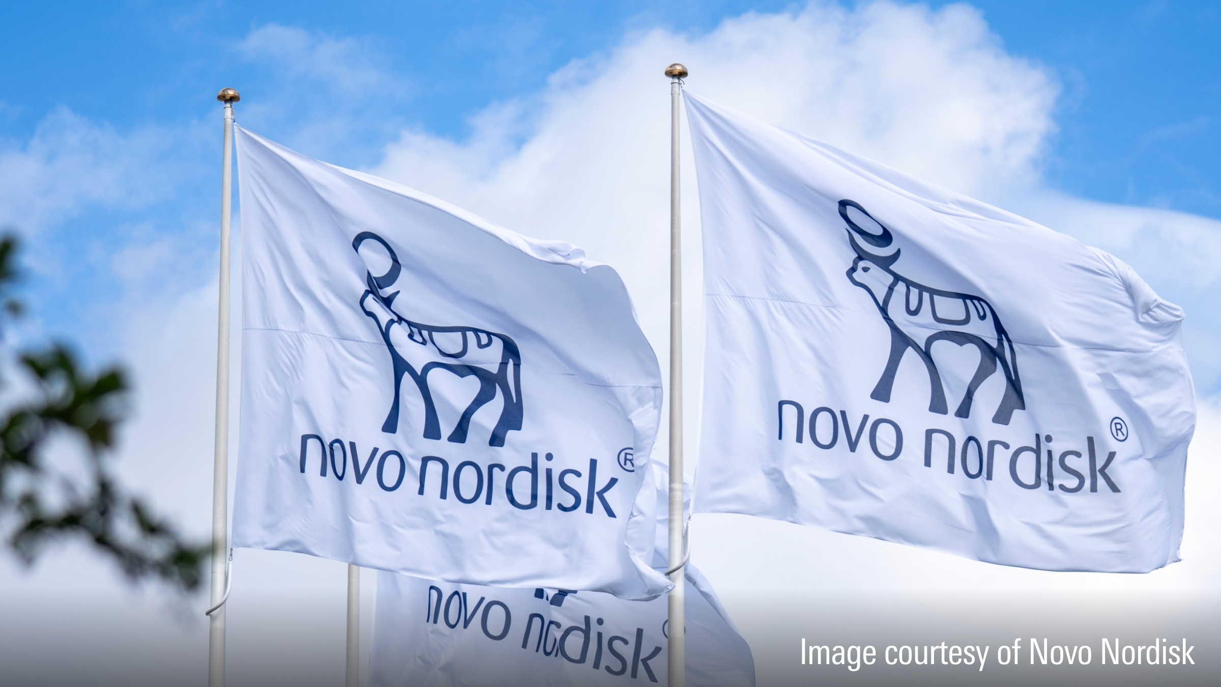 Engel Has Filed a Lawsuit Against Novo Nordisk Following the Loss of His Vision.