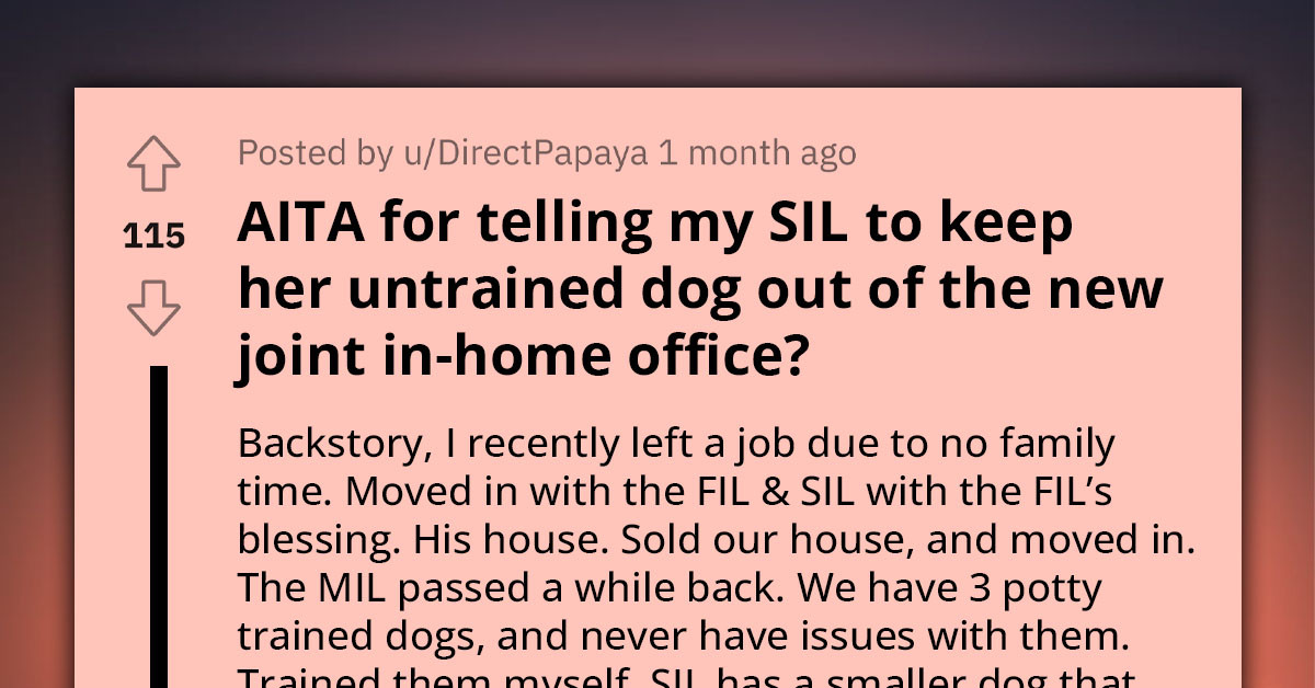 SIL Refuses To Potty Train Her Dog And Pay For The Expenses To Clean Their Pet's Dirt, Gets Upset When OP Refuses To Let Her Dog Inside Their Home Office