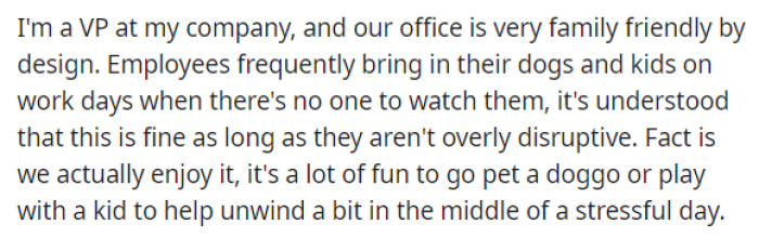 OP starts off her post by saying that she is VP at a company and what kind of environment they have with dogs and children in the office.