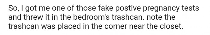 OP devised a plan that involved using a fake positive pregnancy test to catch the culprit