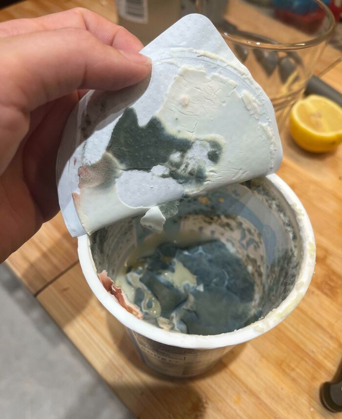 "My Mate’s Cream That’s, Apparently, “Still Good For Cooking If You Scrape Off The Mould"