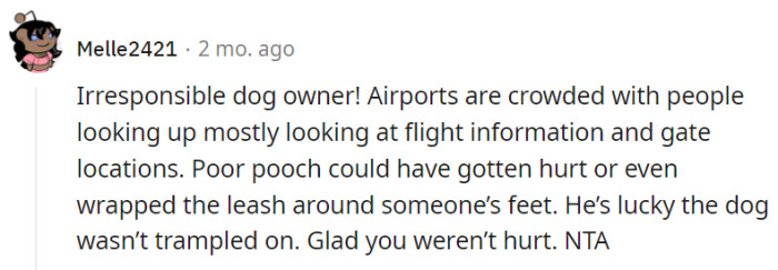 Airports Aren't Dog Obstacle Courses; It's a Wonder the Owner Didn't Get 'Leashed' with a Fine for Their Carelessness.