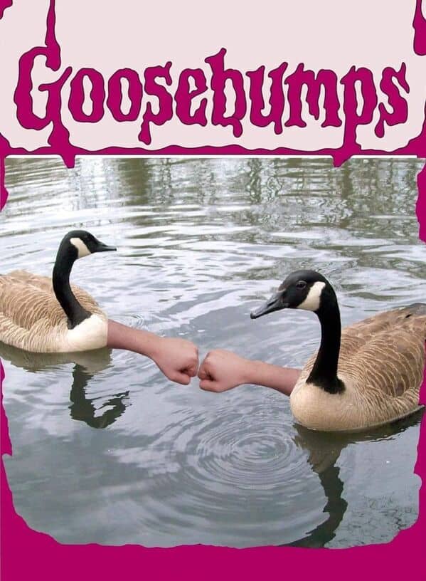 Goosebumps