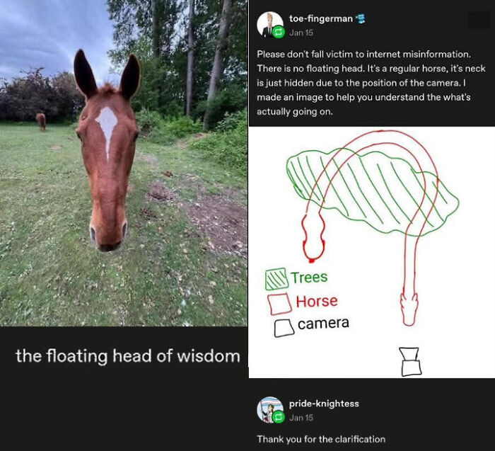 "Elongated Horse, It's Fantastic Diamond Beast"