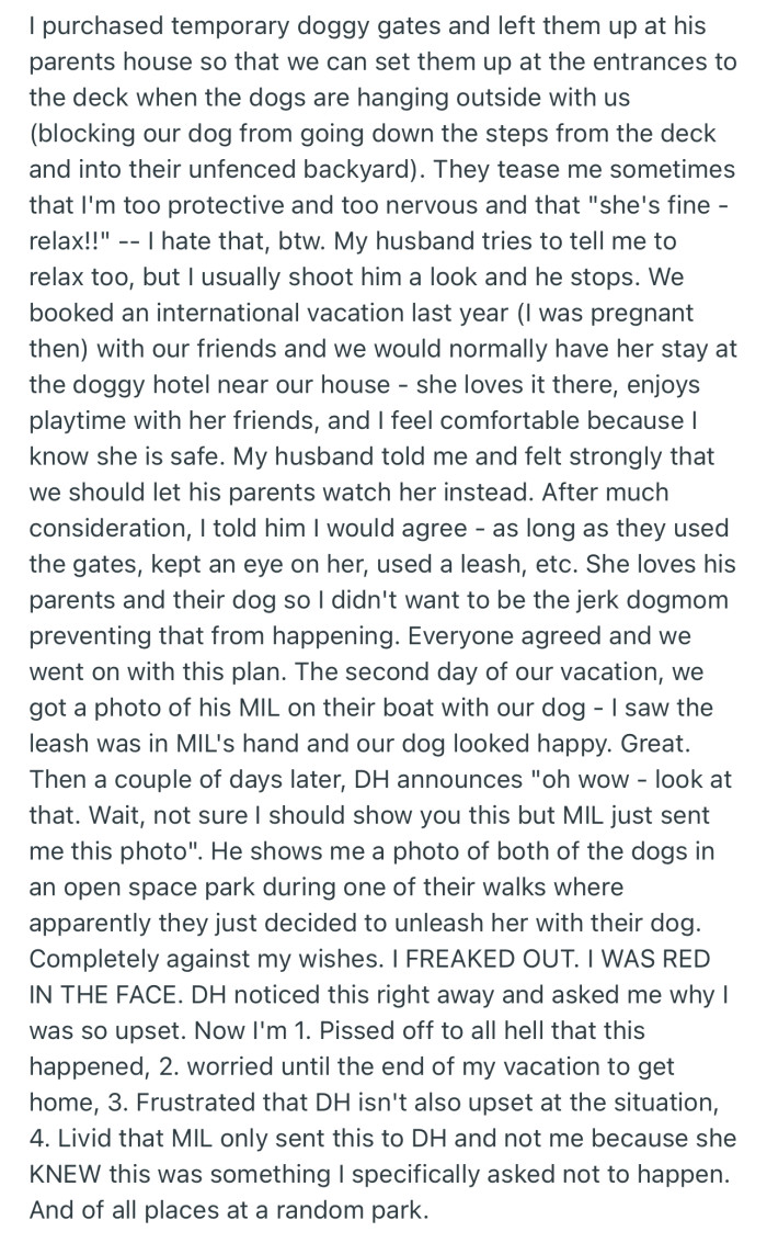 OP got upset after finding out that her MIL was carefree with her pup while dog-sitting