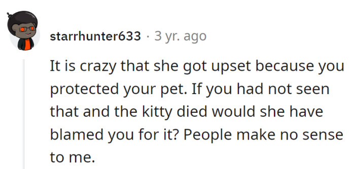 Protecting pets: a crime in the theater of absurdity. Next up, blame games with no rules!