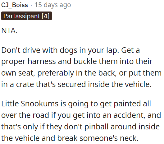 Driving with dogs in your lap is dangerous.