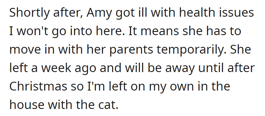 Amy moved out due to health issues a week ago. OP is now alone in the house with the cat until after Christmas.