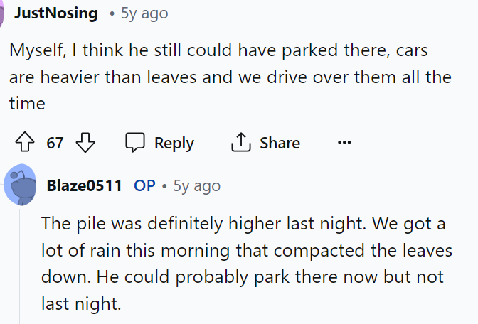 Some people thought that maybe they could have just parked over the leaves and not worried about it, but clearly, they said it was fluffier the day prior.
