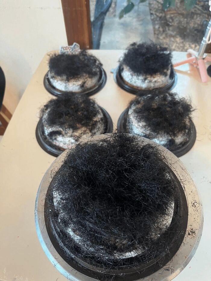 "Hair" Cake. The "Hair" Are Dried Seaweed"