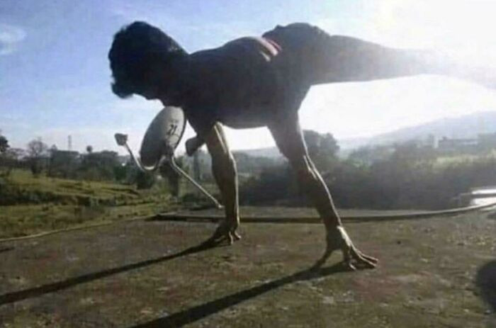 20. Looks like a T-Rex