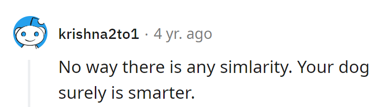 Dog for president? They'd fetch better policies for sure.