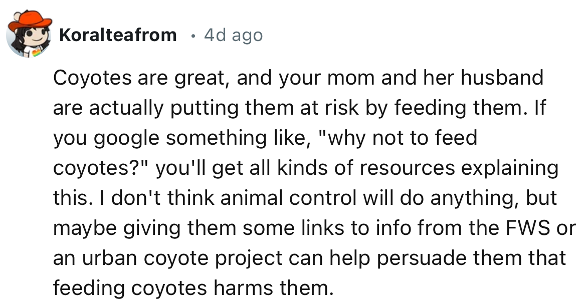 “Coyotes are great, and your mom and her husband are actually putting them at risk by feeding them.”
