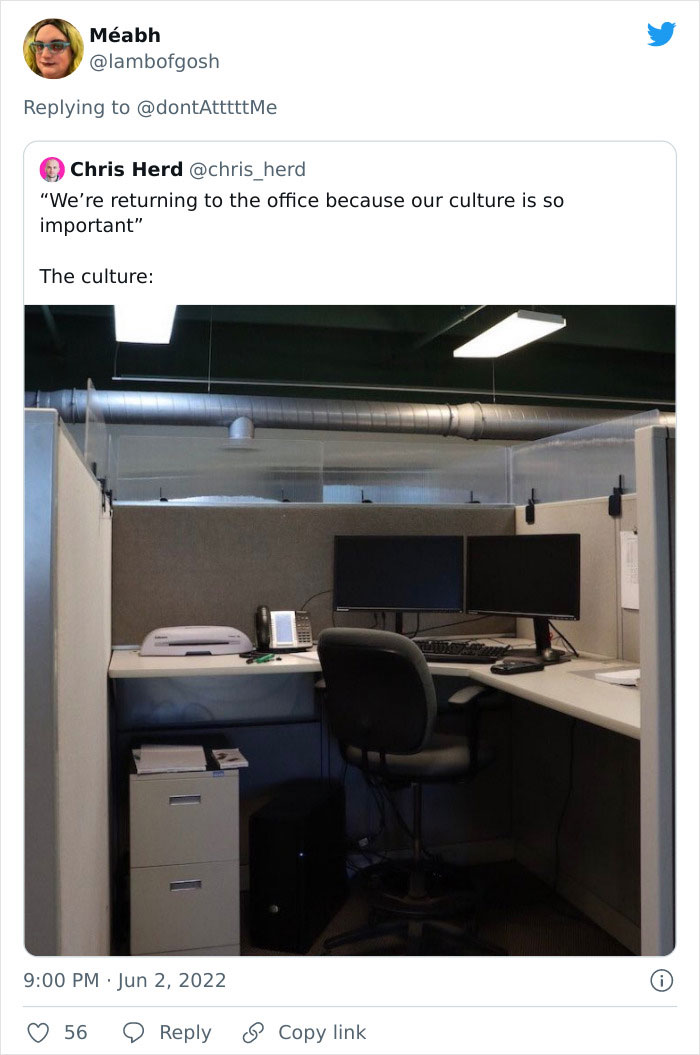 15. The culture in question