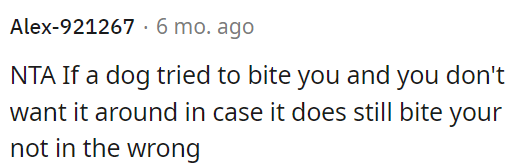 OP is not in the wrong if she doesn't want a dog around after it attempted to bite her.