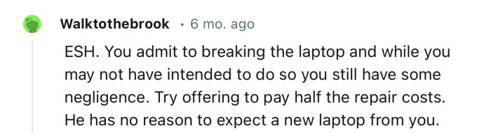 “You admit to breaking the laptop, and while you may not have intended to do so, you still have some negligence.”