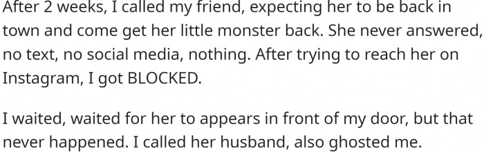 After the petsitting period was over, OP tried to contact her friend, but she was blocked.