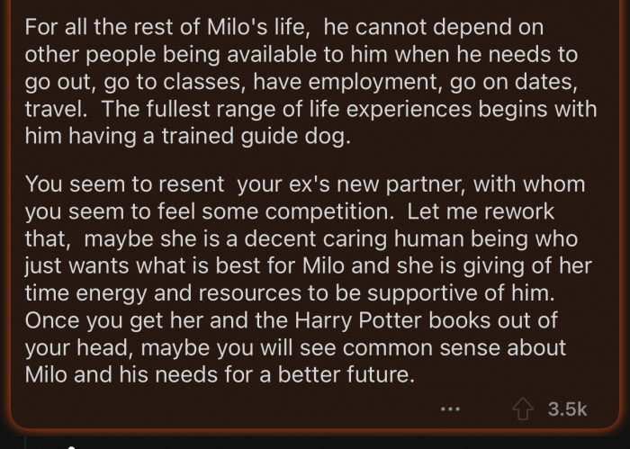 Op has a lot of resentment for her ex's partner.