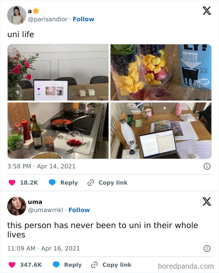 6. Uni Life Expectations vs. Reality