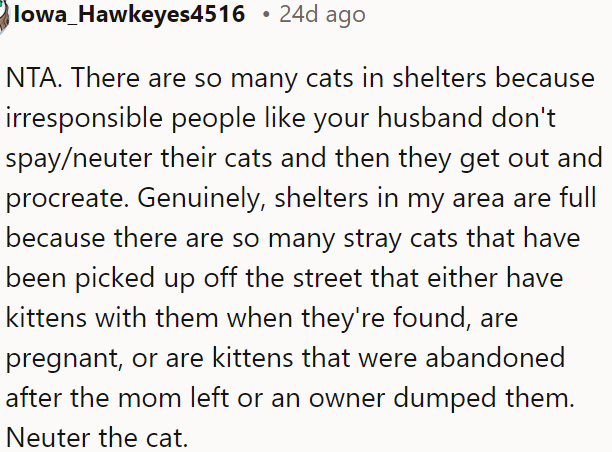 The abundance of stray cats in shelters is mainly due to irresponsible pet owners who don't spay or neuter their cats, leading to overpopulation.