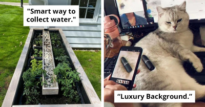 15 Individuals Share Tips for an Effortless Life