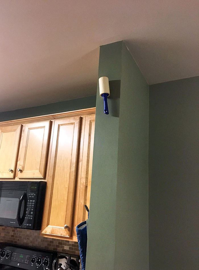 6. My Husband Has Been Sticking These Rollers In Places I Can't Reach To Annoy Me. It's Working
