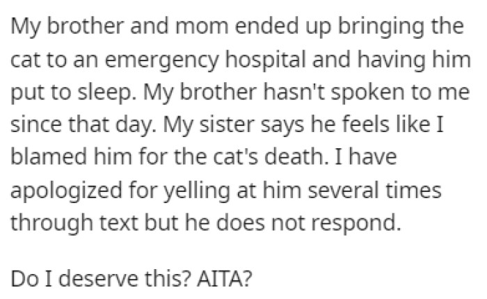 They had the cat put to sleep, and now OP's brother refuses to talk to her